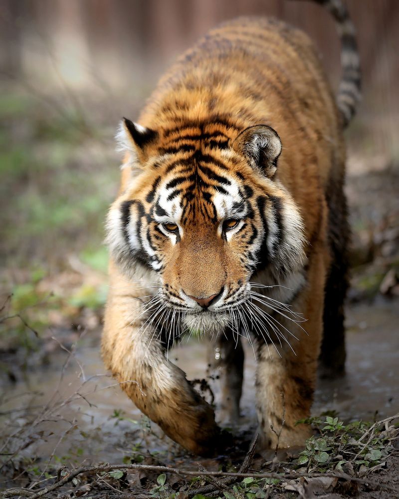 Photograph by Андрей Автухов