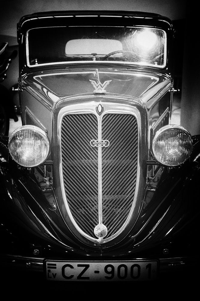 Фотография автора Totoro D