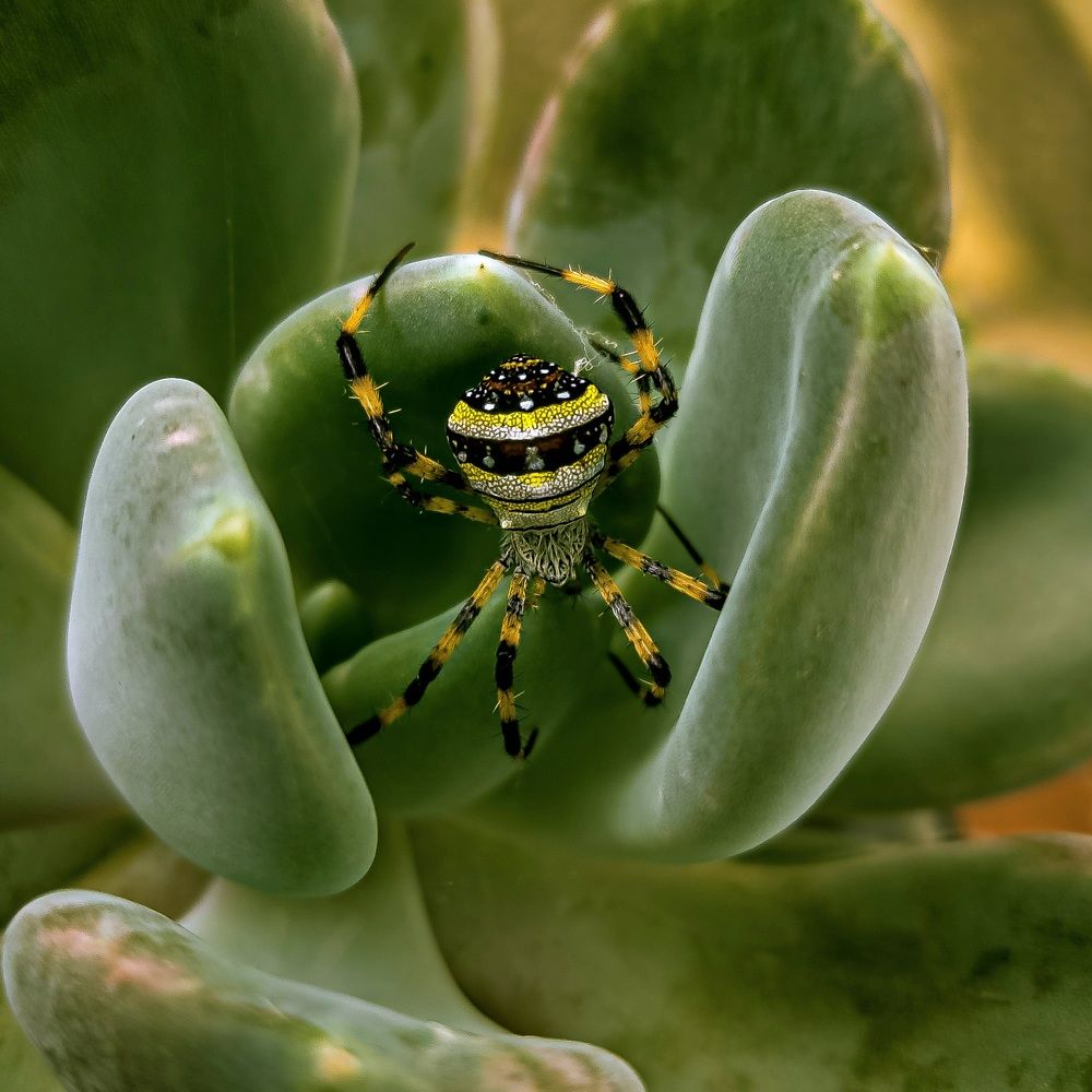 Photograph by Nhan Nguyen