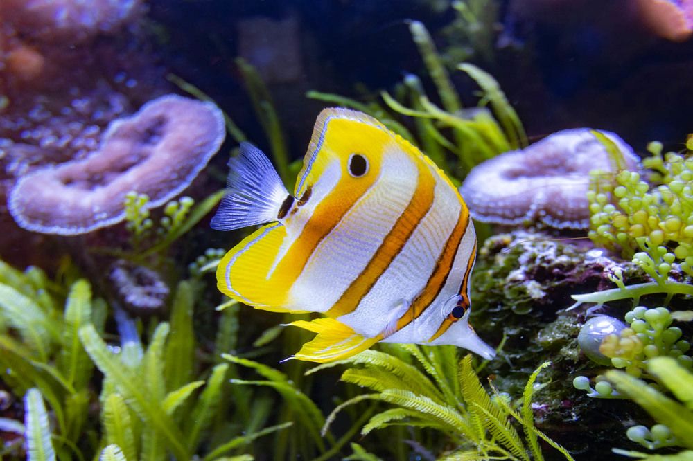 Photograph by Ineta Osipoviča