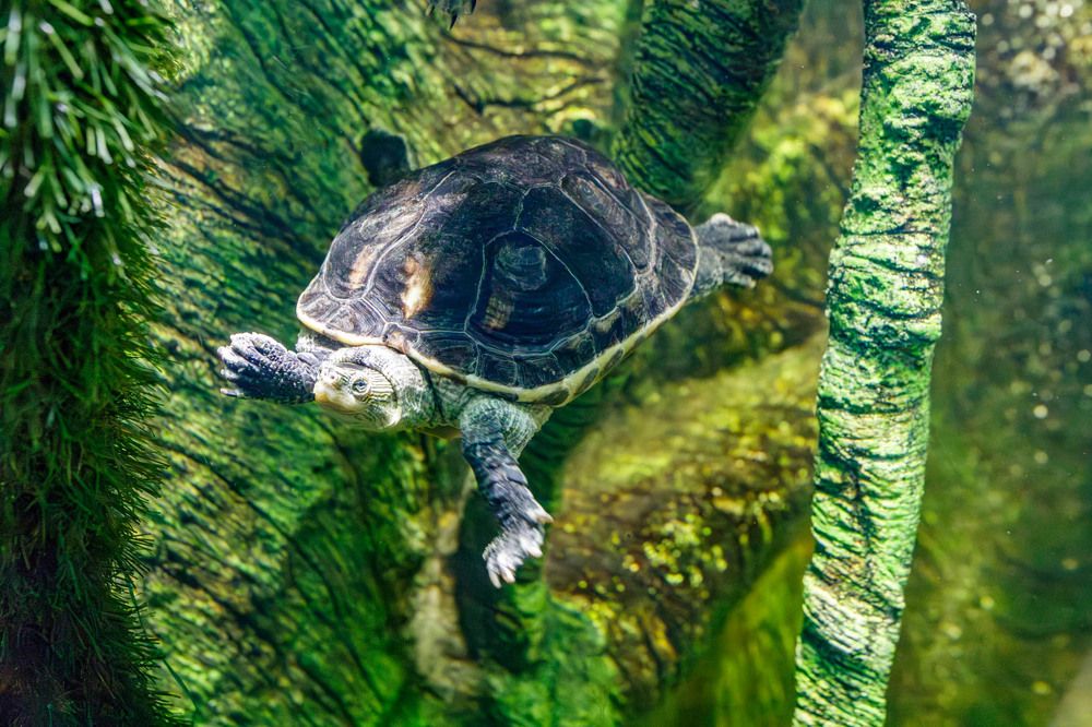 Photograph by Ineta Osipoviča