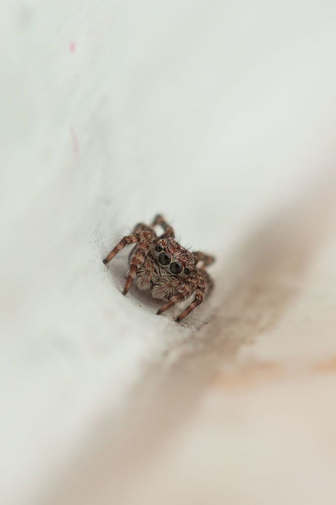 Photograph by Monika Cebula