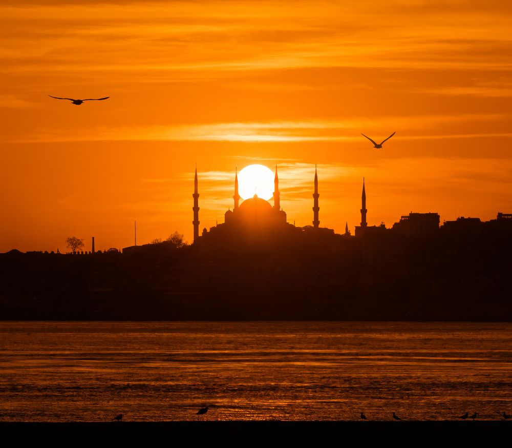 Фотография автора Анастасия Мазурева