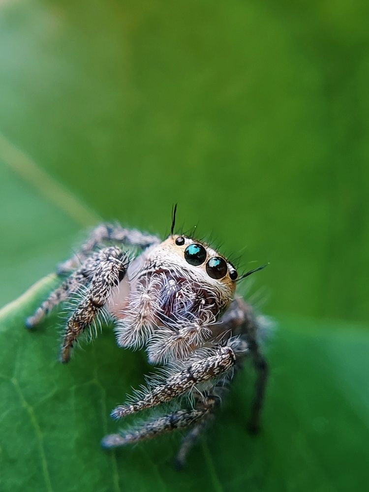 Photograph by Mimie Saari