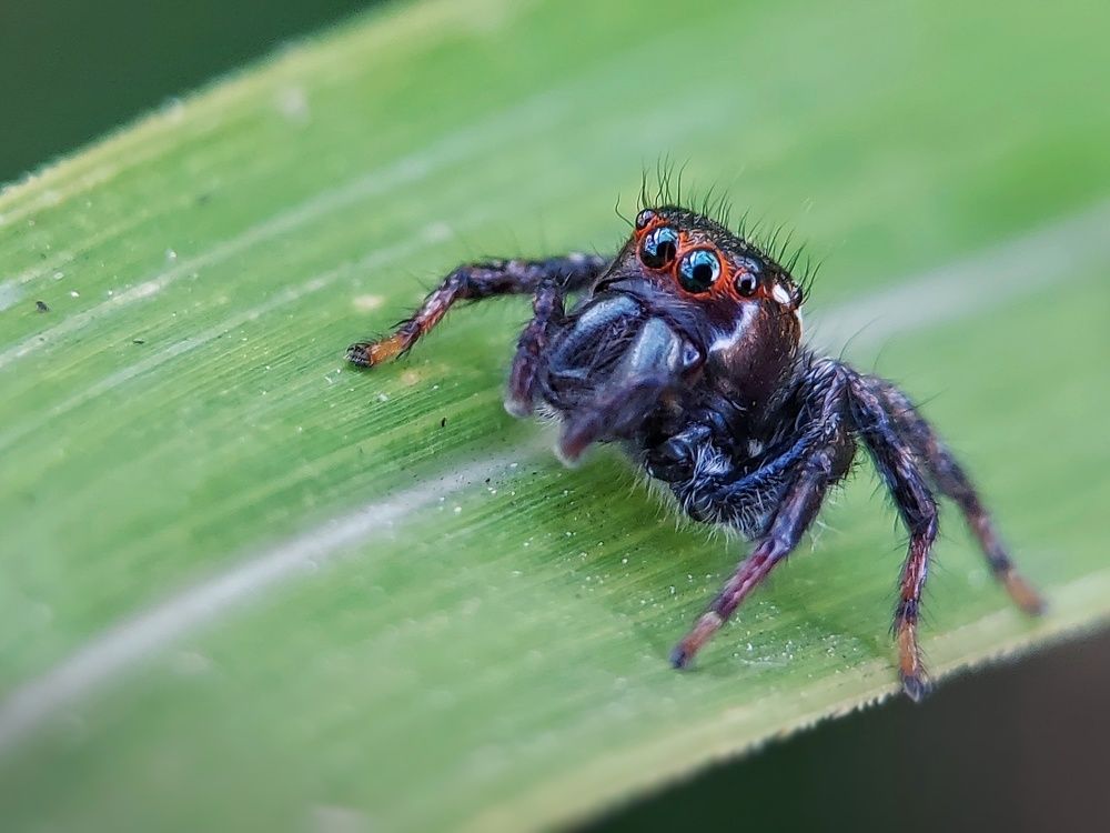 Photograph by Mimie Saari