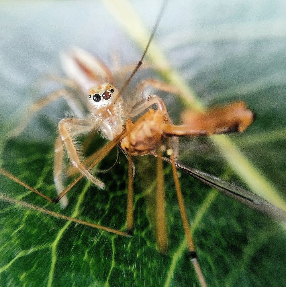 Photograph by Pankaj Singh