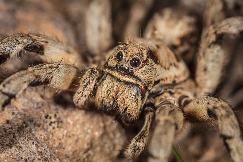 Photograph by SOUFIANE EL KADAOUI