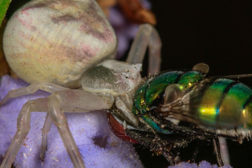 Photograph by SOUFIANE EL KADAOUI