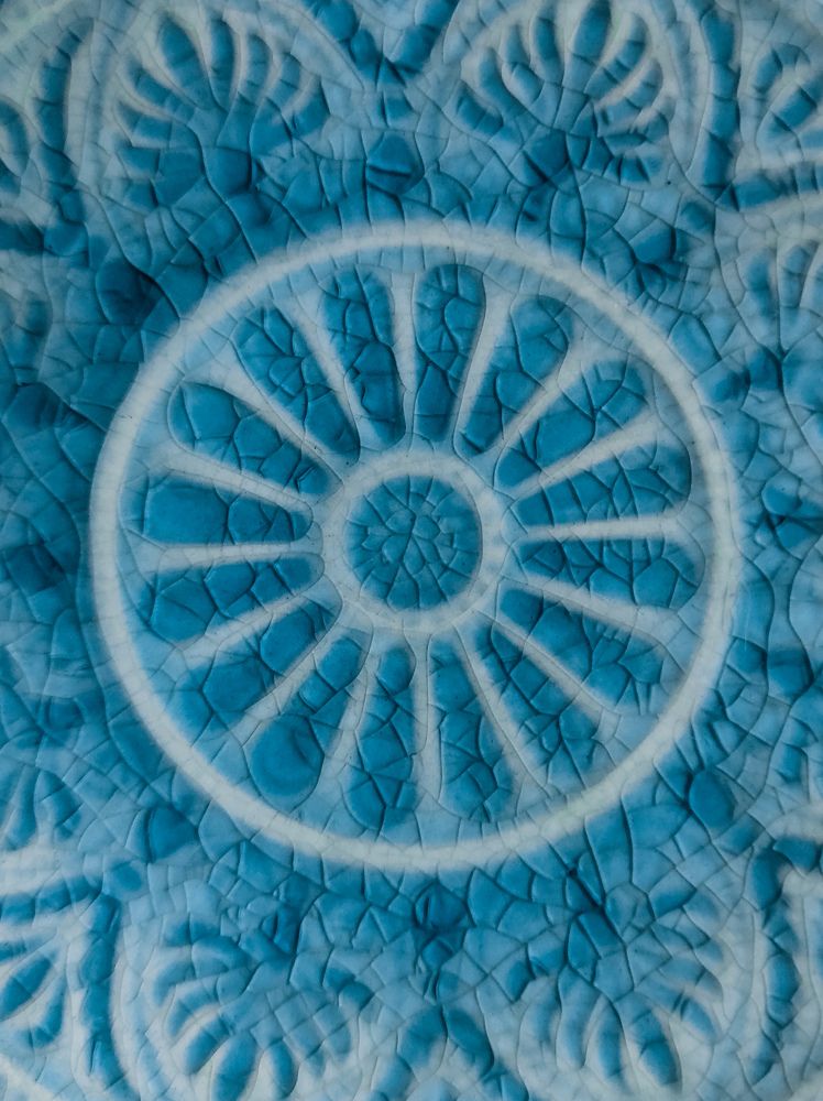 Фотография автора Екатерина Солодовник