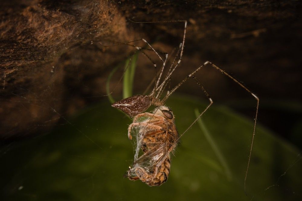 Photograph by SOUFIANE EL KADAOUI