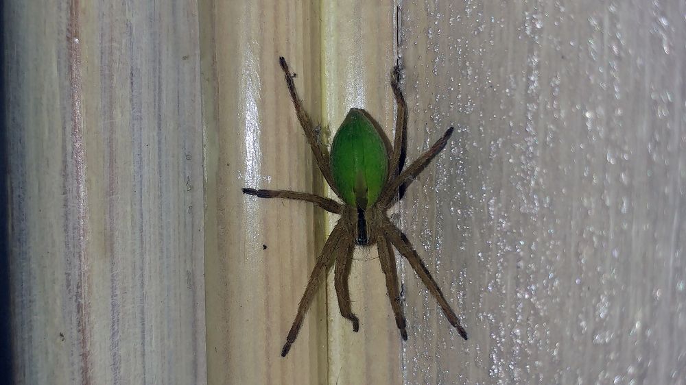 Photograph by Антон Шаркас