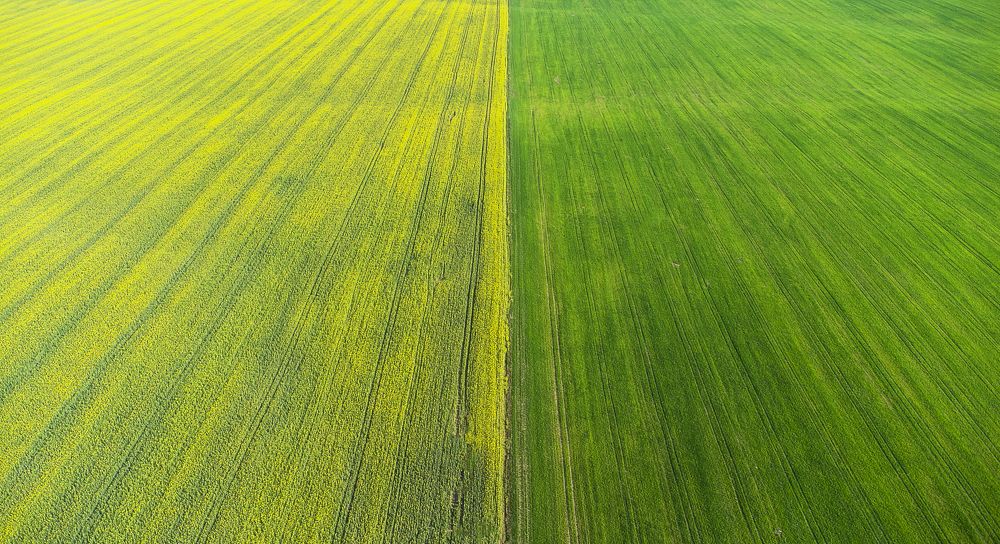 Photograph by Leanid Kulpo