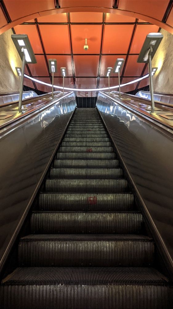 Фотография автора Васильева Ирина