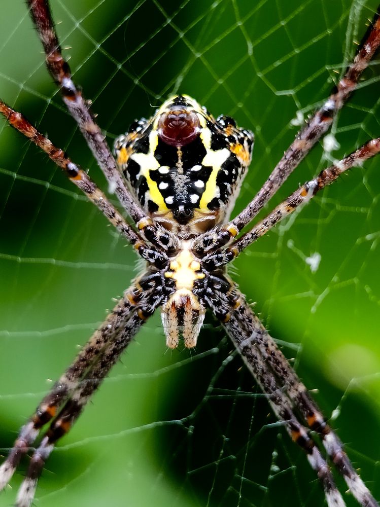 Photograph by Antaryami Das