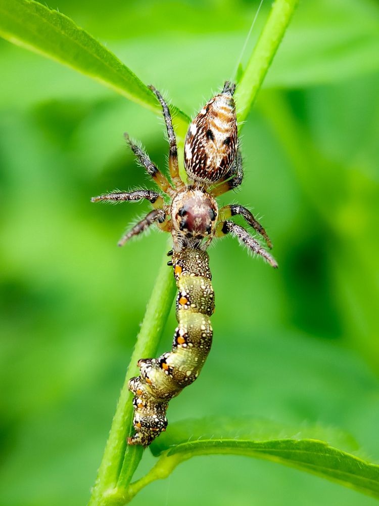 Photograph by Antaryami Das