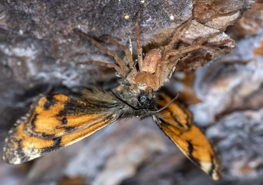 Photograph by Андрей Калинин