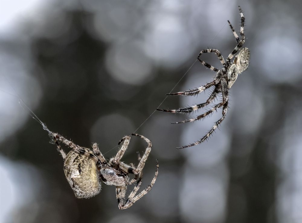 Photograph by Андрей Калинин