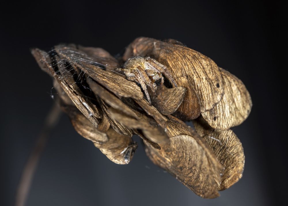 Photograph by Андрей Калинин