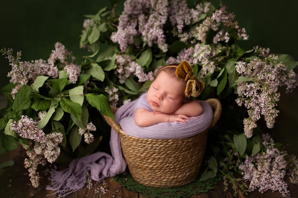 Photograph by Алёна Ванеева