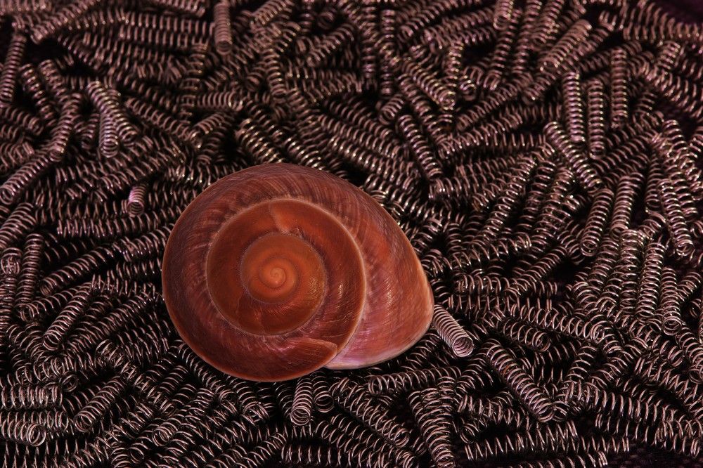 Photograph by Владимир Грибков