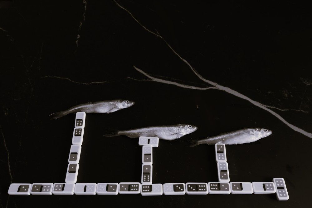 Photograph by Владимир Грибков