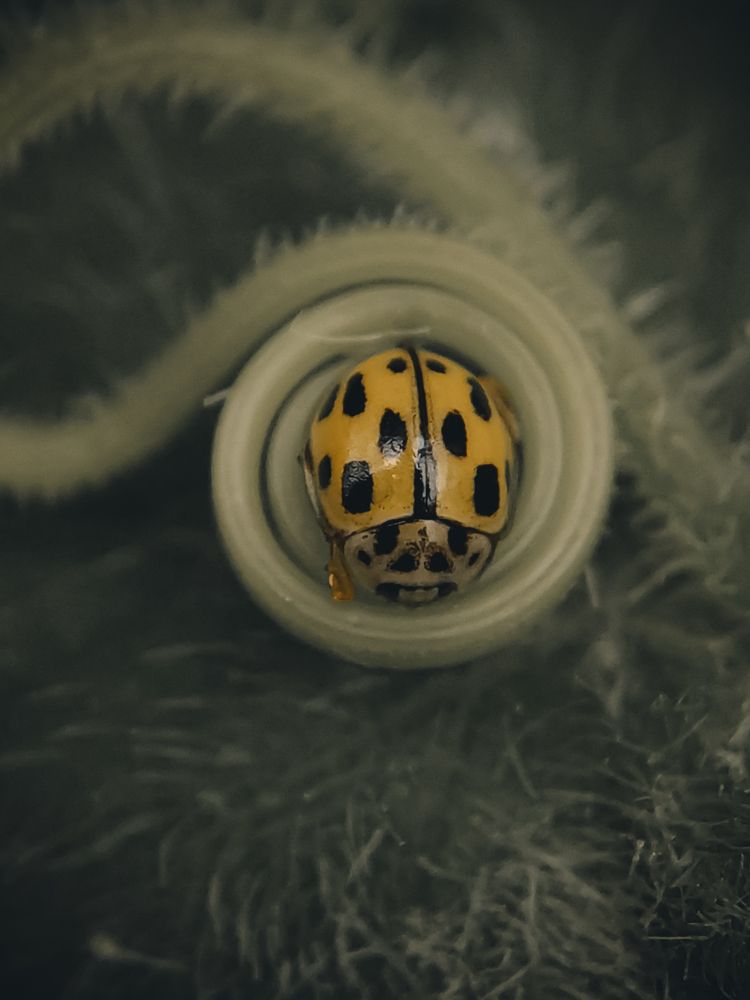 Фотография автора Наталья Алексеева