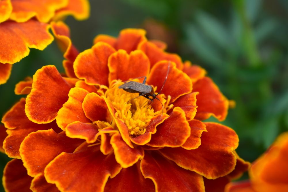 Photograph by Наталья Еременко