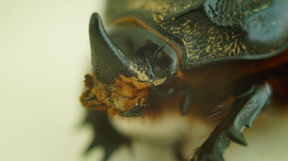 Photograph by Лиза Малыгина