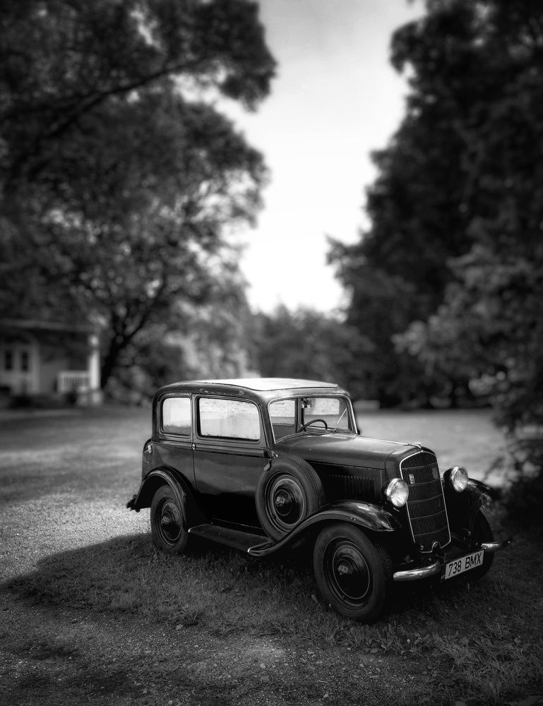 Фотография автора Alina Filimonova