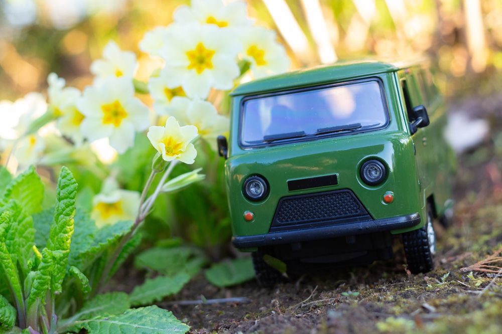 Photograph by Анна Масленникова-Бриль