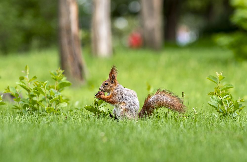 Фотография автора Дмитрий Кетов