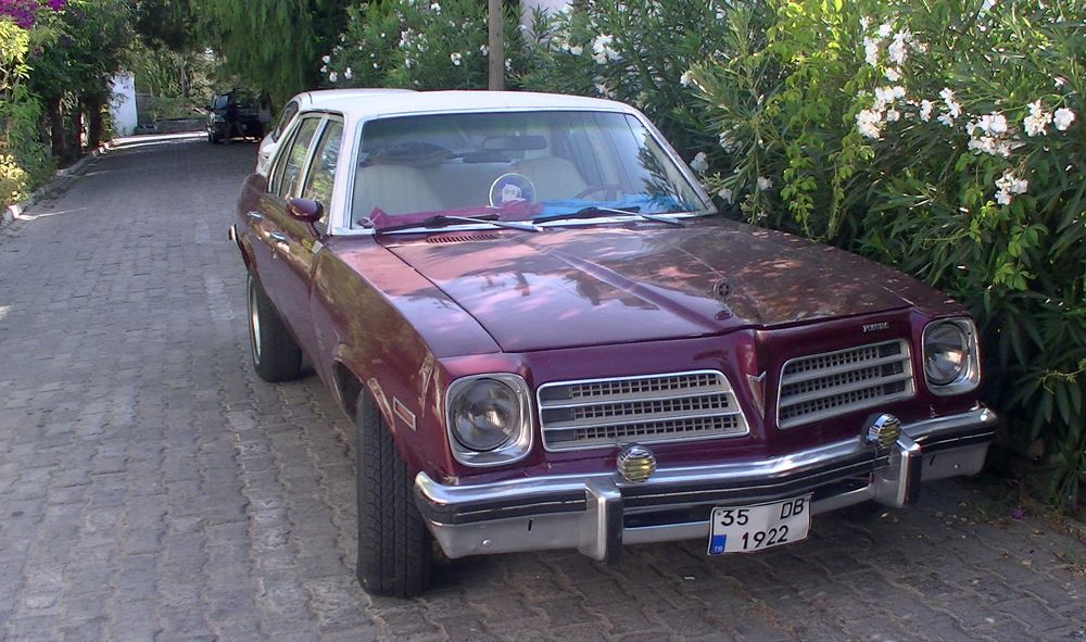 Photograph by Александр Халимов