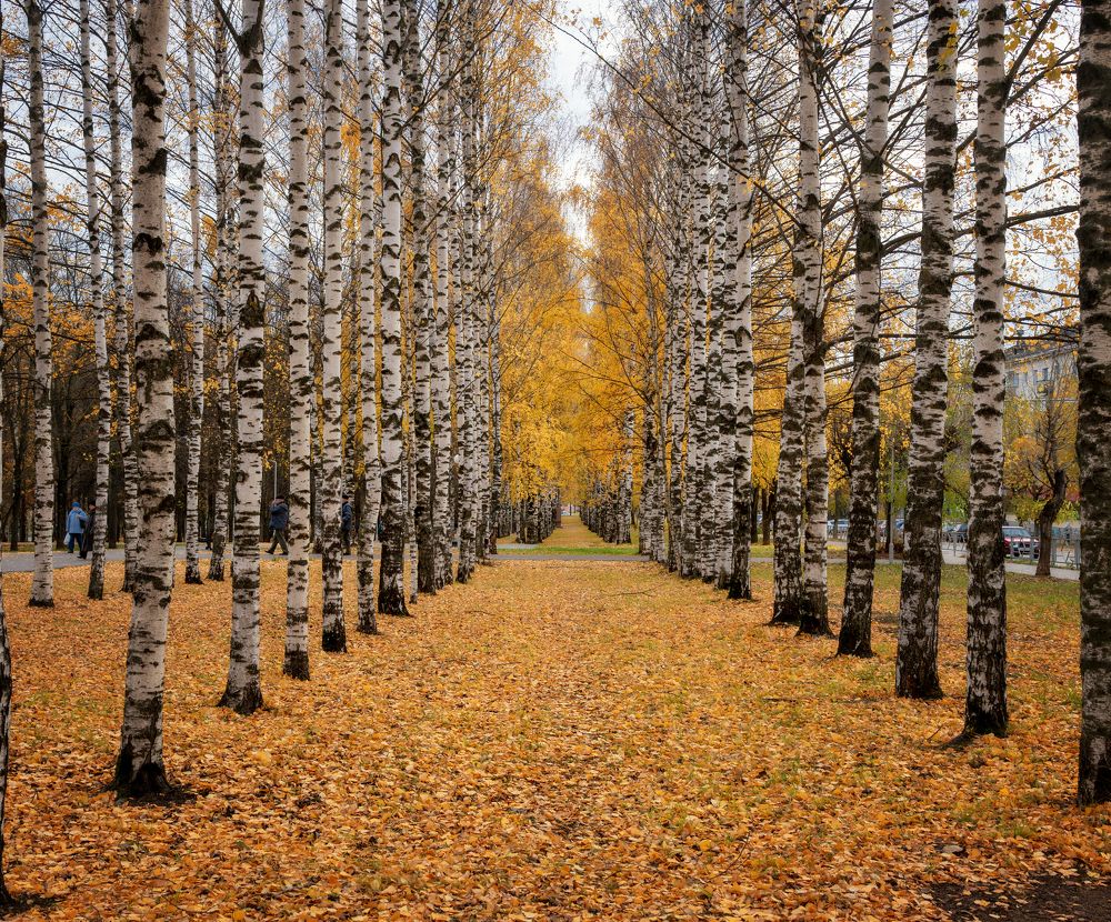 Photograph by Светлана Ващенко