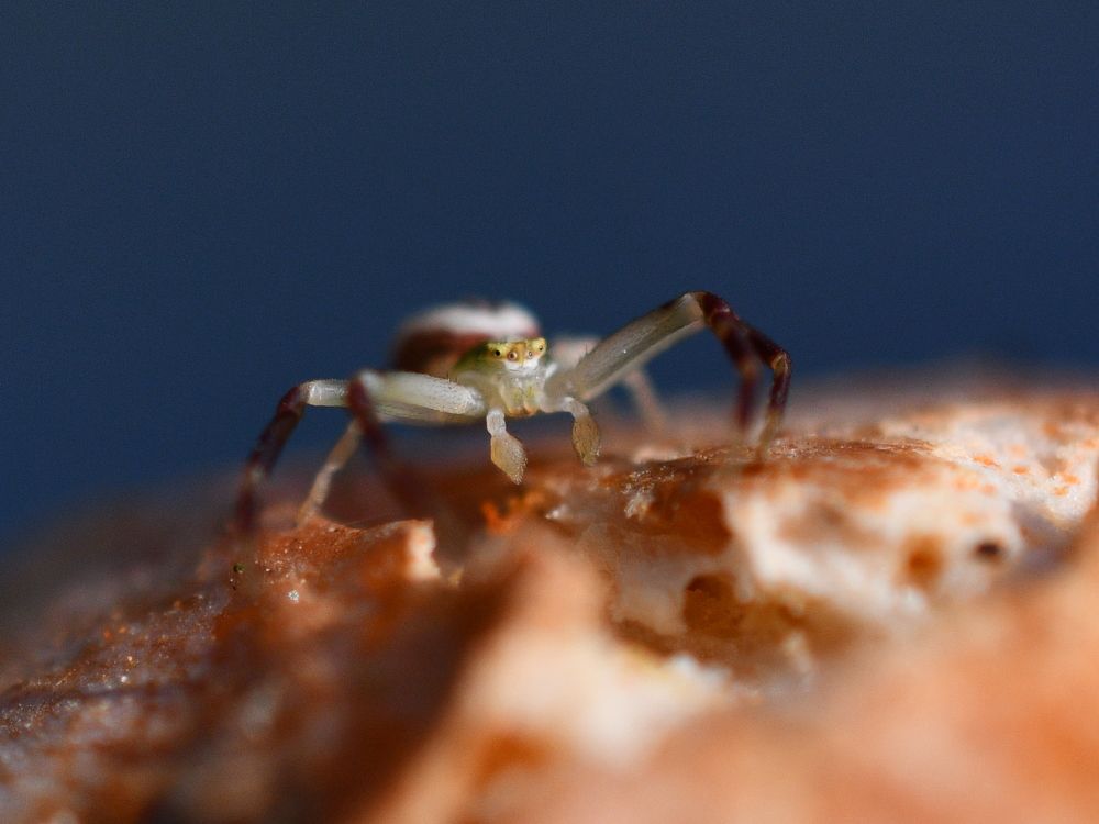 Photograph by Николай Абакумов