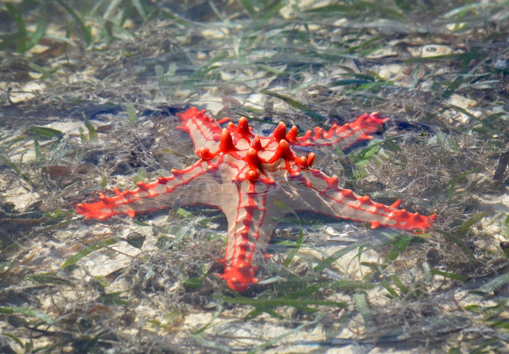 Photograph by Inna Ivanova