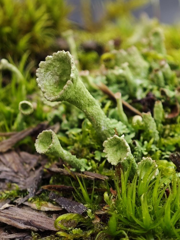 Photograph by Надежда Кангина