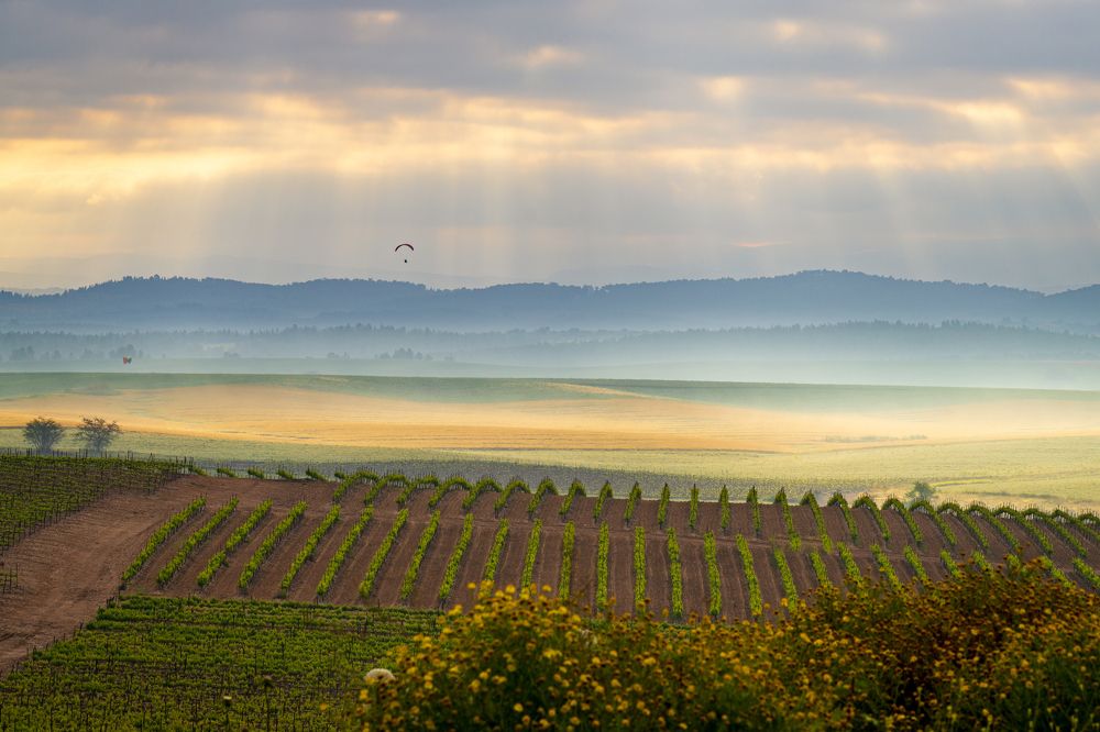 Photograph by Ilya Stolov