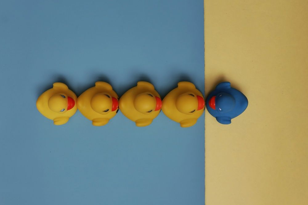 Photograph by Ruzena Suchánková