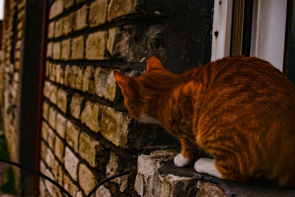 Photograph by Yrii Usoltsev