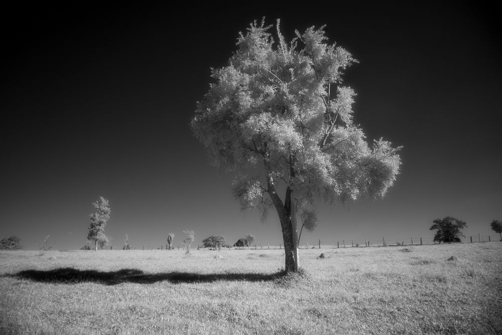 Photograph by RAFAEL SERRANO