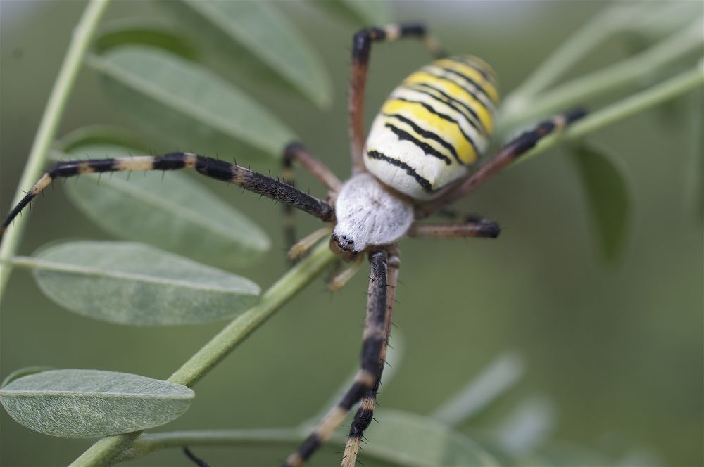 Photograph by Анвар Сейфуллин