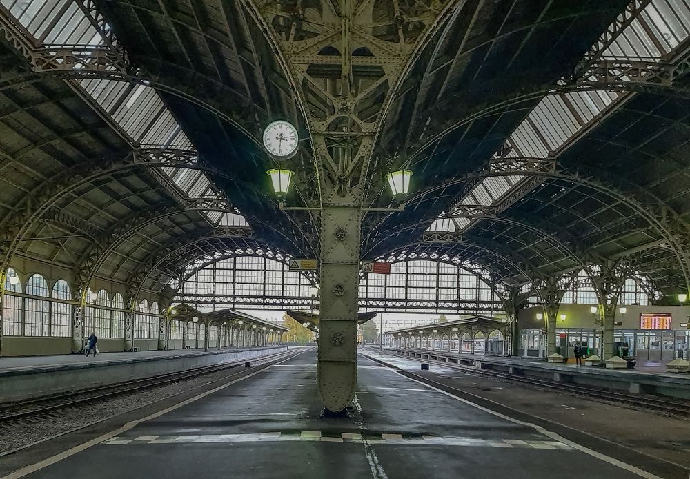 Фотография автора Ольга Виноградова