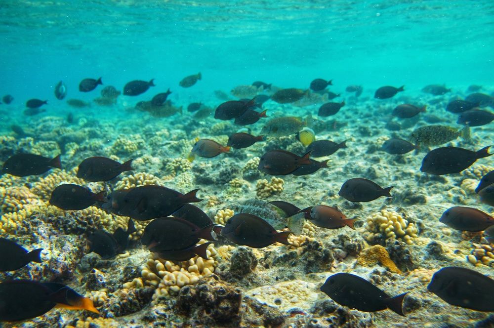 Фотография автора Ксения