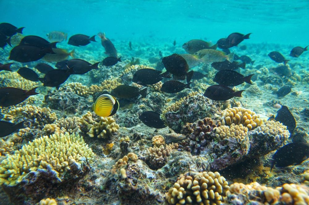 Фотография автора Ксения