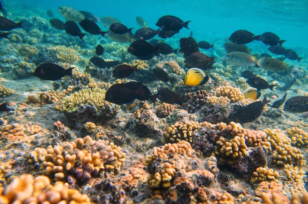 Фотография автора Ксения