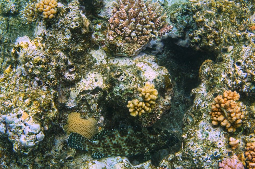 Фотография автора Ксения