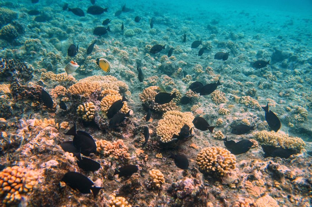 Фотография автора Ксения