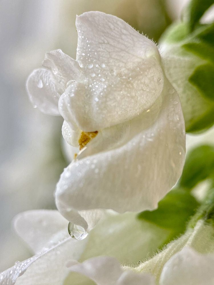 Photograph by Александра Гонтарь