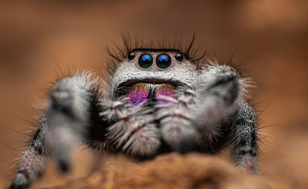 Photograph by Celis Norman