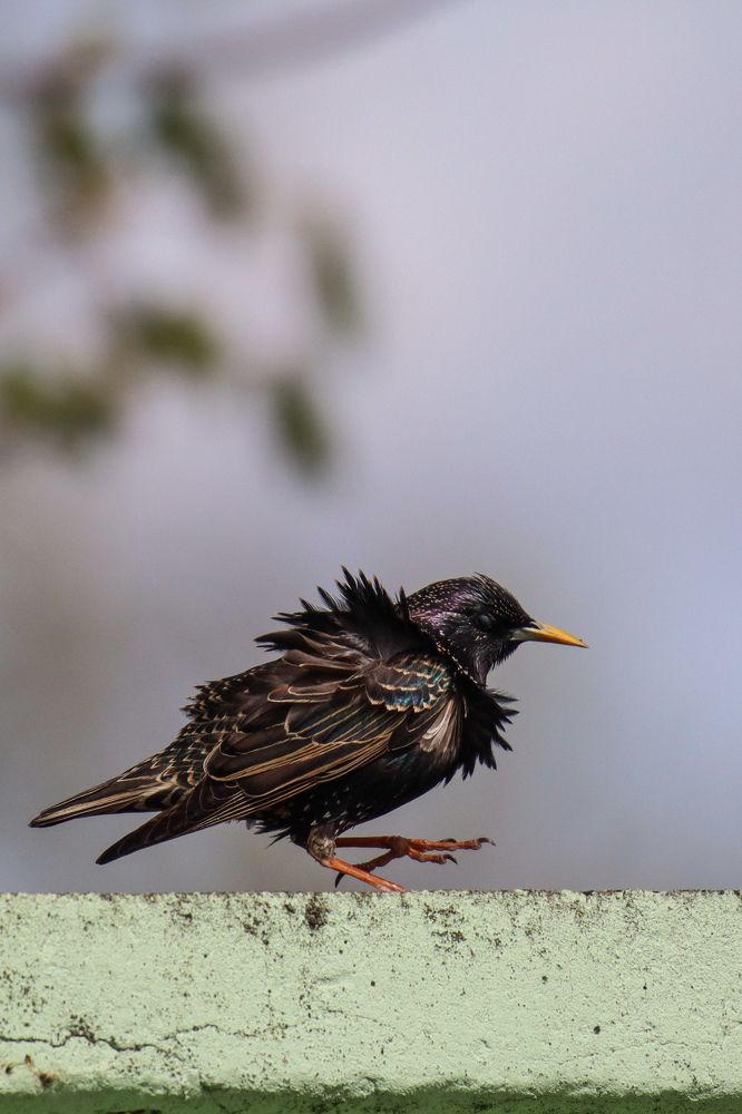 Photograph by Evgenia Korchagova